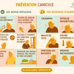 Vigilance jaune canicule : adoptons les bons réflexes à Cestas