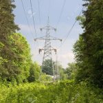 Travaux d’entretien de la végétation par RTE