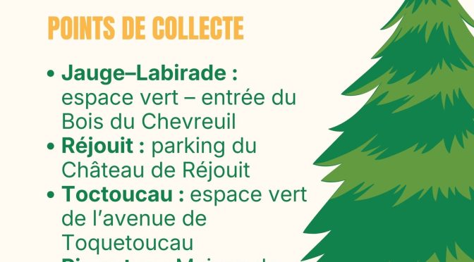 Que faire de votre sapin après les fêtes ?