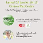 Rucher-école : un rendez-vous dédié aux abeilles et à la biodiversité