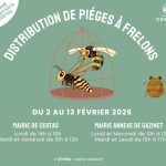 Distribution gratuite de pièges à frelons asiatiques du 2 au 13 février 2026
