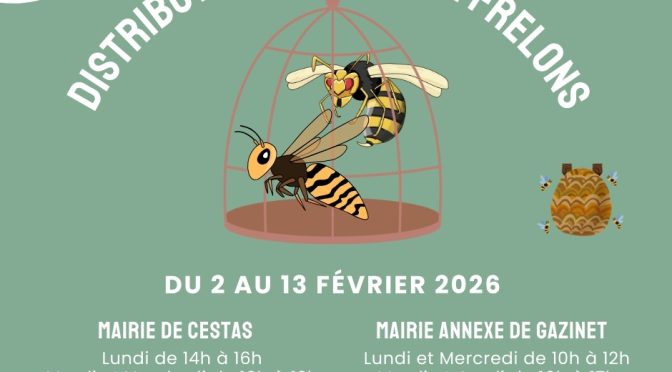 Distribution gratuite de pièges à frelons asiatiques du 2 au 13 février 2026