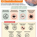 Feux de forêt : un risque majeur de la période estivale