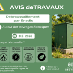 Travaux de débroussaillement autour des installations électriques